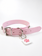 KINOFIL SMART TAG BORDER COLLIE