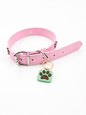KINOFIL SMART TAG BORDER COLLIE