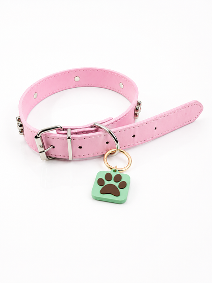 KINOFIL SMART TAG BORDER COLLIE