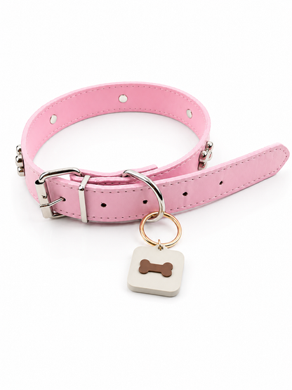 KINOFIL SMART TAG BORDER COLLIE