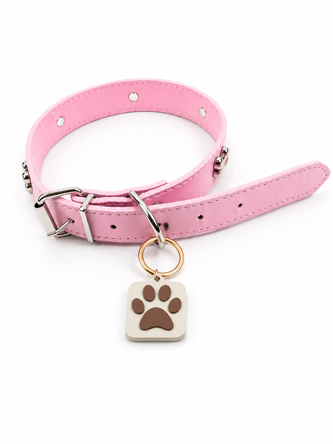 KINOFIL SMART TAG BORDER COLLIE