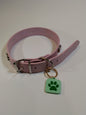 KINOFIL SMART TAG BULLDOG FRANCÊS