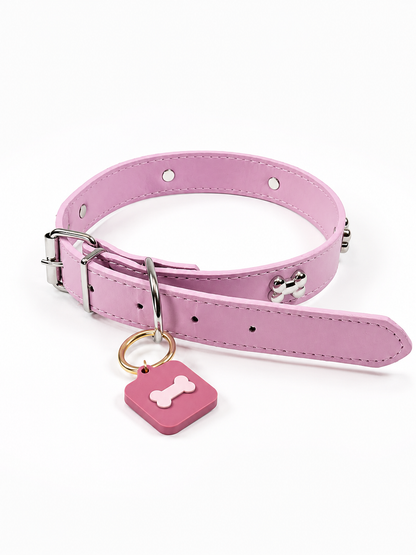 KINOFIL SMART TAG BORDER COLLIE