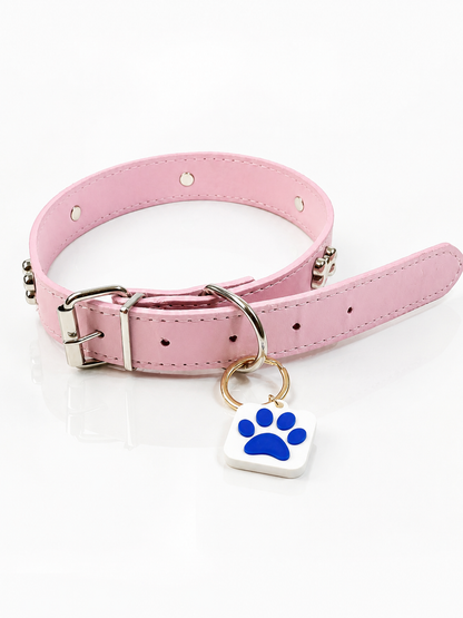 KINOFIL SMART TAG BORDER COLLIE