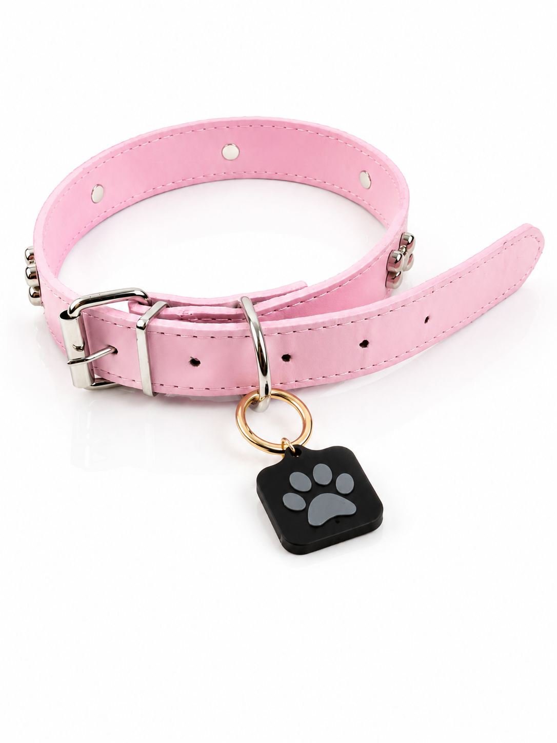 KINOFIL SMART TAG BORDER COLLIE