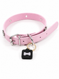 KINOFIL SMART TAG BORDER COLLIE