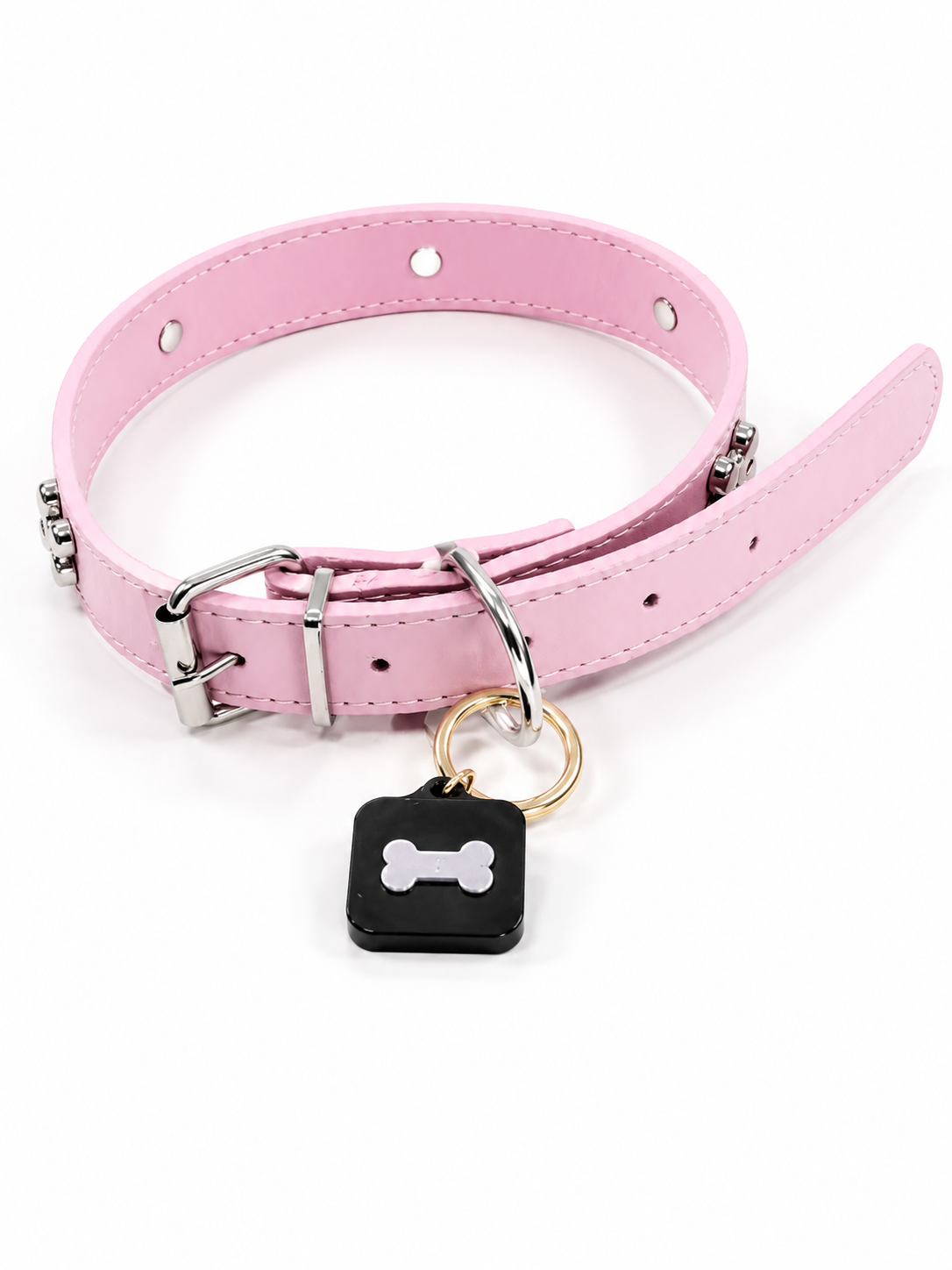 KINOFIL SMART TAG BORDER COLLIE