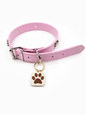 KINOFIL SMART TAG BORDER COLLIE