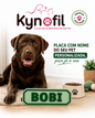 Placa Pet Personalizada com Nome – Modelo Osso com Corações | Decoração para Cachorro | Impressão 3D Premium