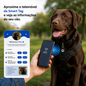 KINOFIL SMART TAGS
