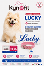 Combo Kynofil — Smart Tag + Placa Personalizada