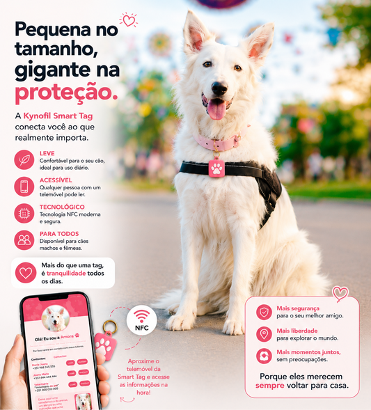 KINOFIL SMART TAG BORDER COLLIE