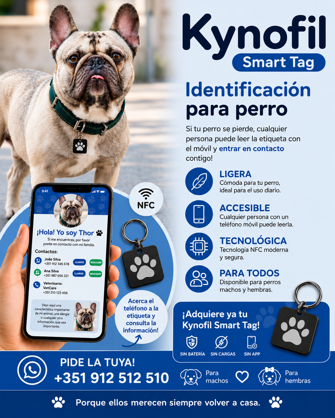 KINOFIL SMART TAG BULLDOG FRANCÊS