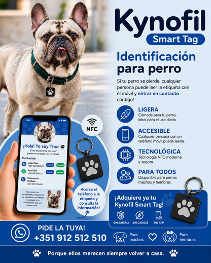 KINOFIL SMART TAG BULLDOG FRANCÊS