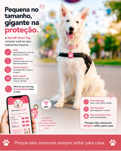 KINOFIL SMART TAG BORDER COLLIE
