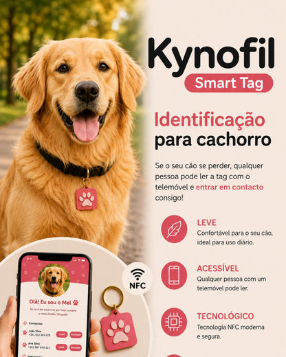 KINOFIL SMART TAG GOLDEN RETRIEVER